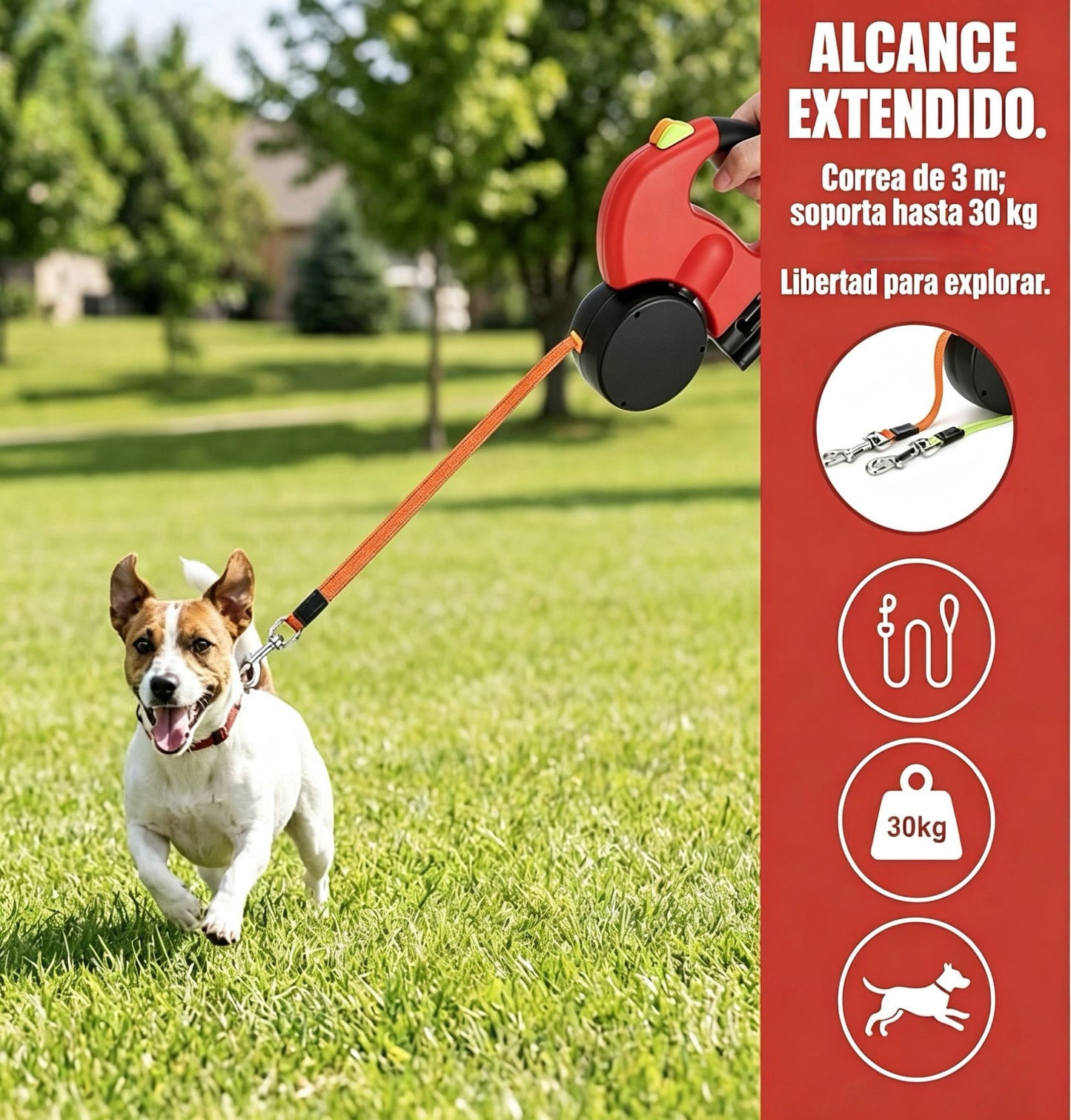 Correa Retráctil 360° Mavero.pet | Doble con Linterna y Bloqueo Instantáneo + Envío GRATIS Y Regalo SORPRESA INCLUIDO 🎁